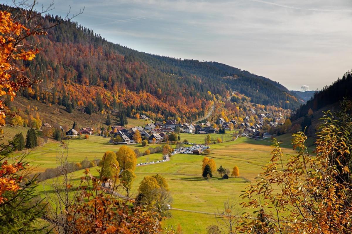 Galeriewohnung In Menzenschwand-Hinterdorf エクステリア 写真