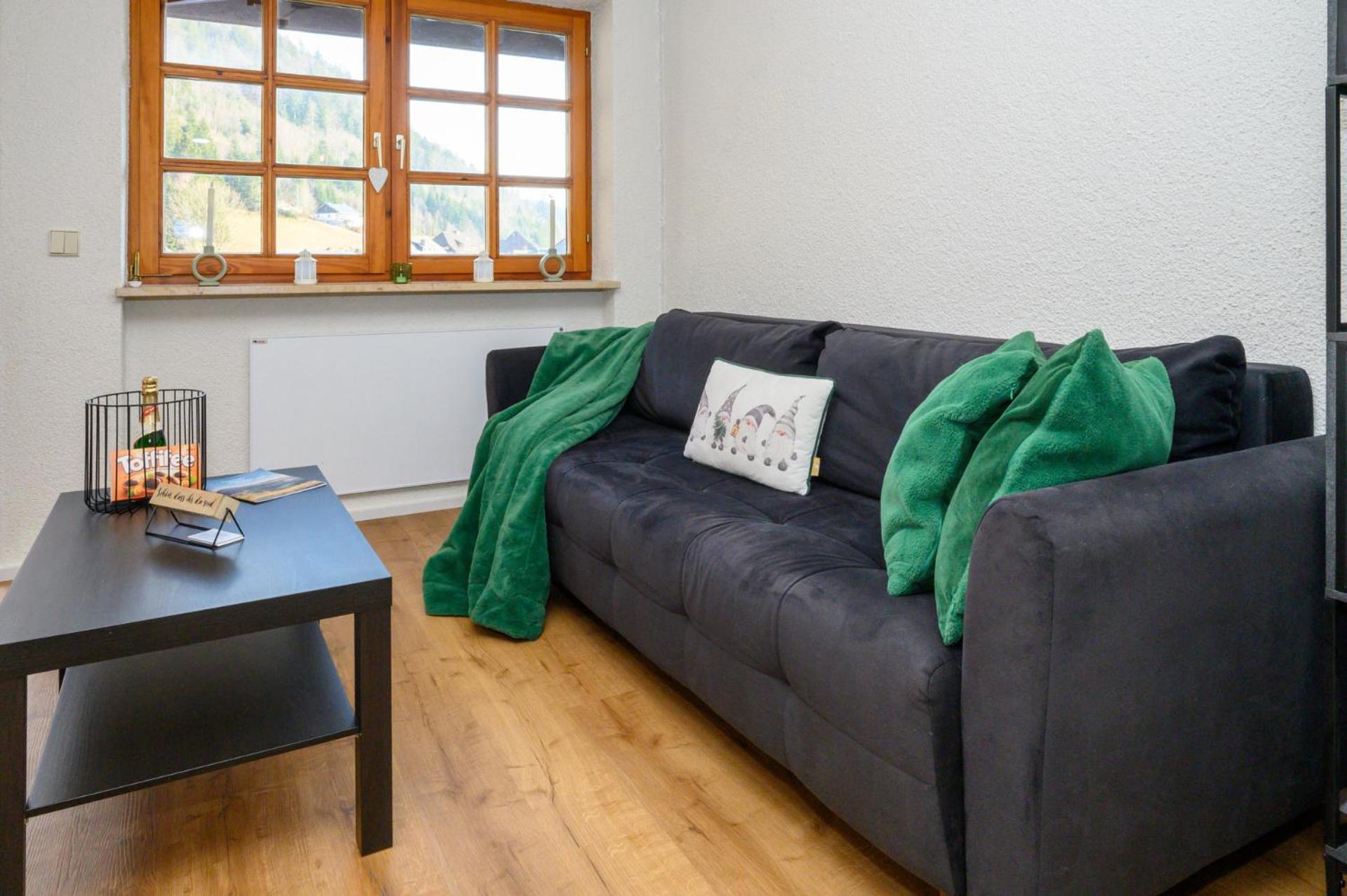 Galeriewohnung In Menzenschwand-Hinterdorf エクステリア 写真
